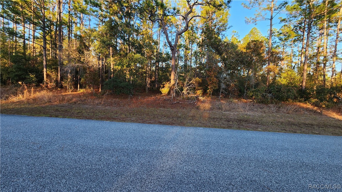 9555 N Old Mill Way, Citrus Springs, Florida image 1