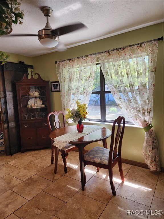 528 W Dandee Place, Citrus Springs, New York image 19
