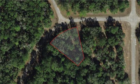 Vacant Land For Sale - 1512 E Carson Road<br/> Dunnellon, FL 34434