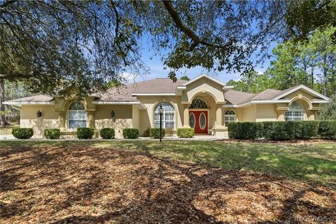 5643 W Chino Drive Beverly Hills FL 34465