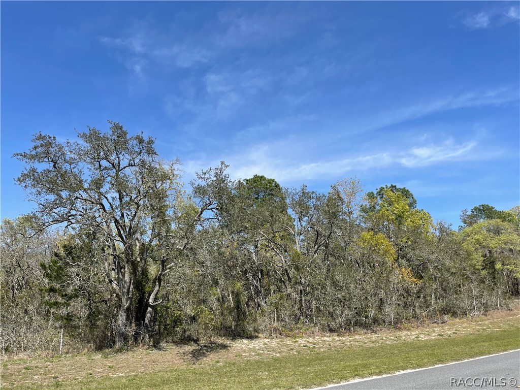 1899 W Cardinal Street, Lecanto, Florida image 7