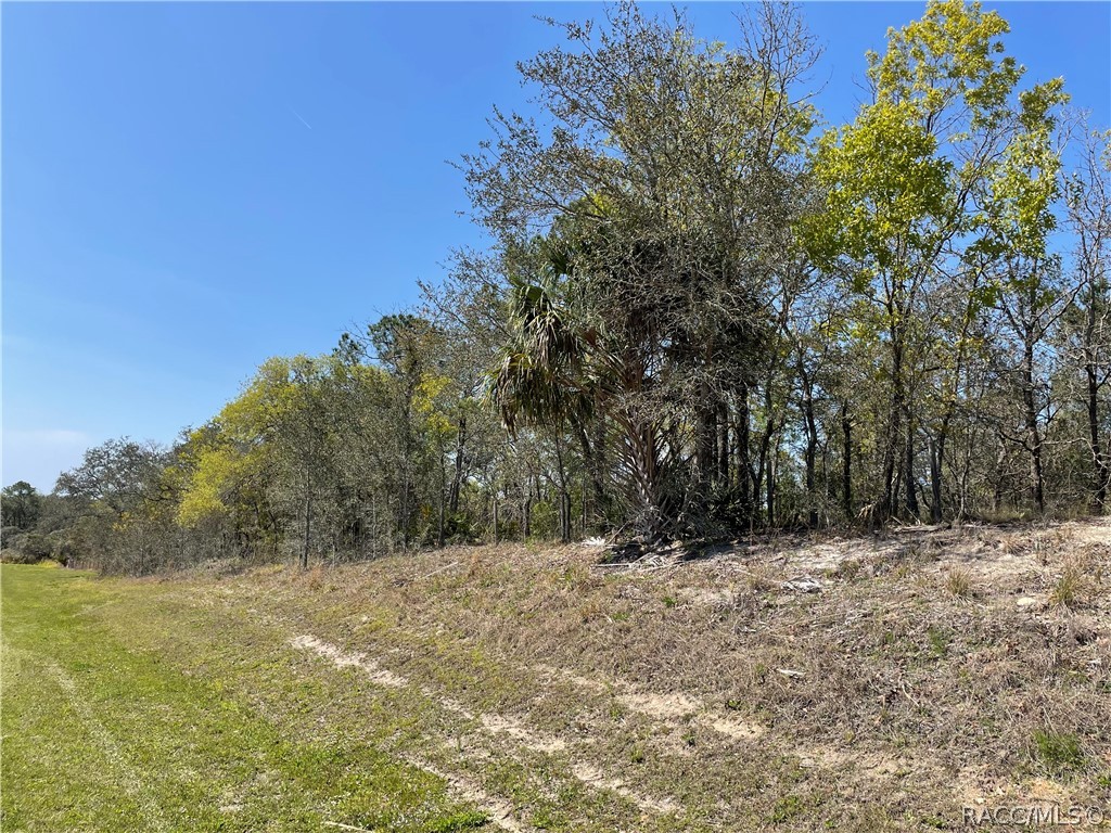 1899 W Cardinal Street, Lecanto, Florida image 5