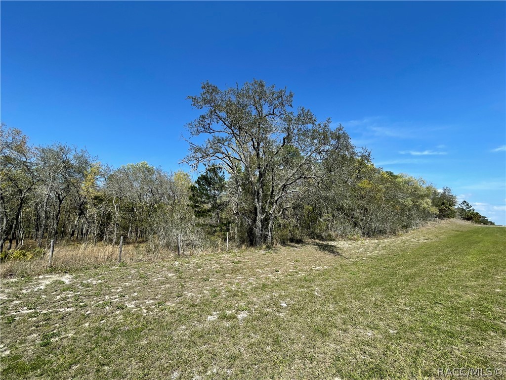 1899 W Cardinal Street, Lecanto, Florida image 6