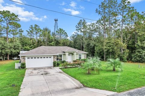 A home in Citrus Springs