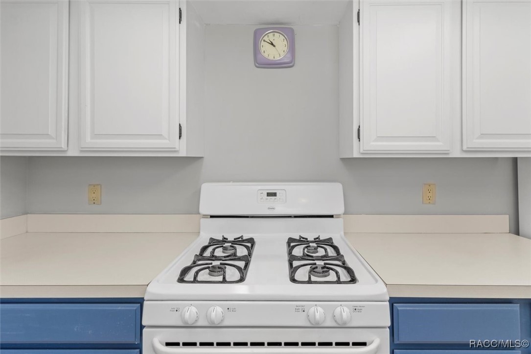 3014 S Skyline Drive, Inverness, Florida image 21