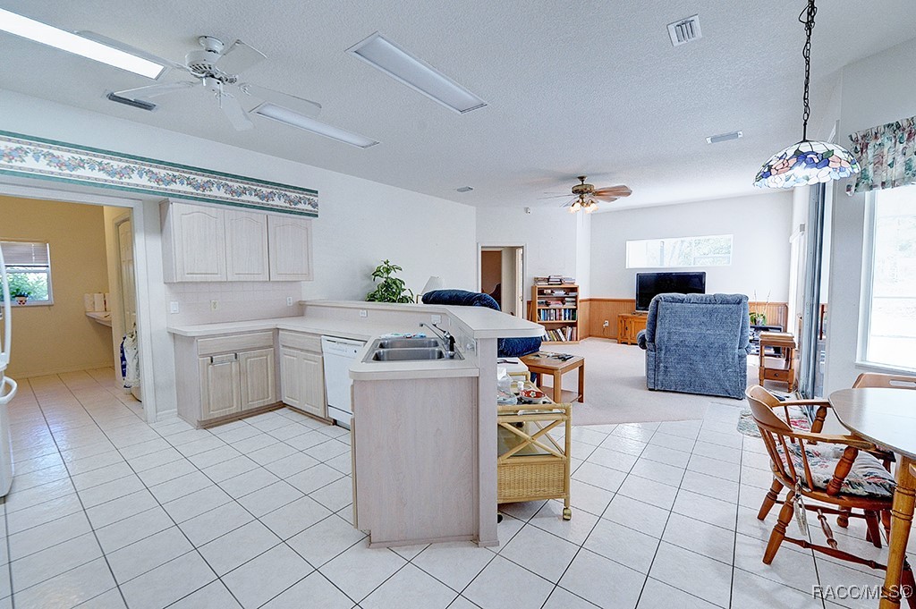 3491 W Daffodil Drive, Beverly Hills, Florida image 19