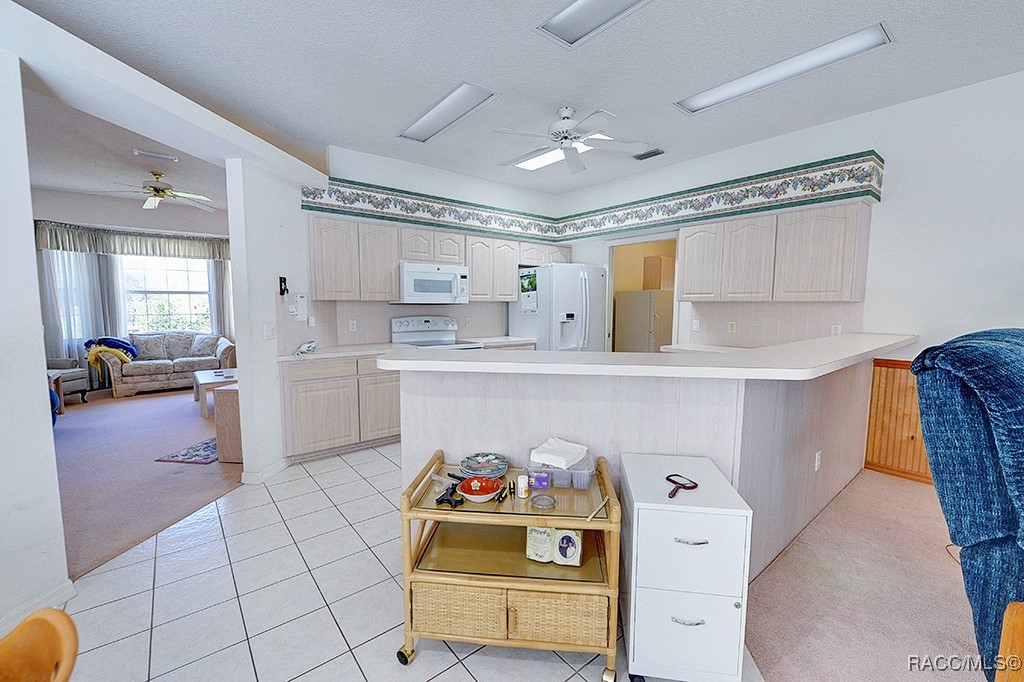 3491 W Daffodil Drive, Beverly Hills, Florida image 22