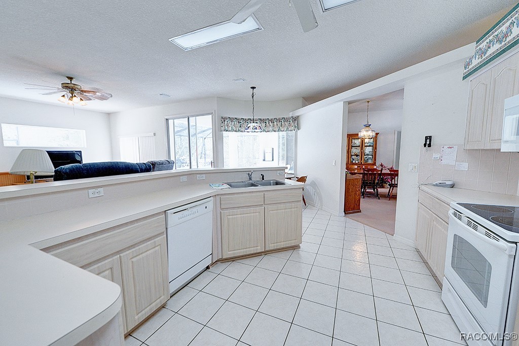 3491 W Daffodil Drive, Beverly Hills, Florida image 21