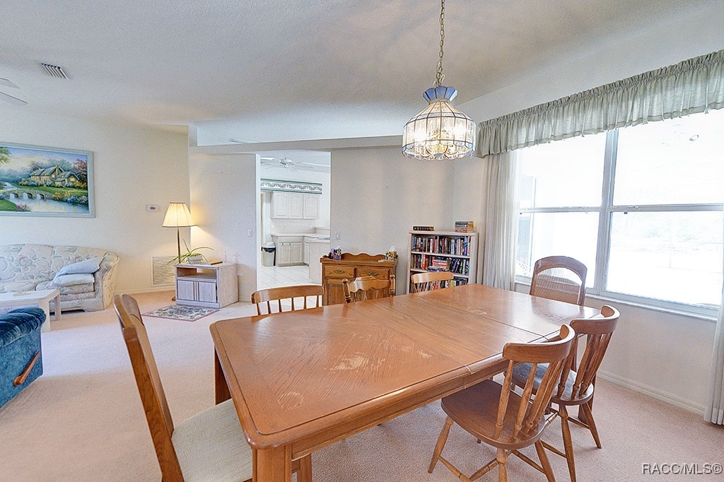 3491 W Daffodil Drive, Beverly Hills, Florida image 12