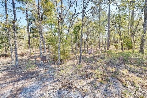 listing image 49
