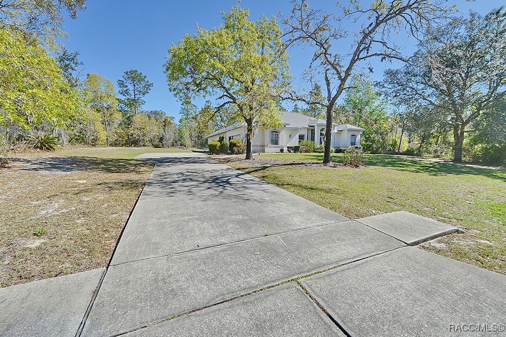 3491 W Daffodil Drive, Beverly Hills, Florida image 1