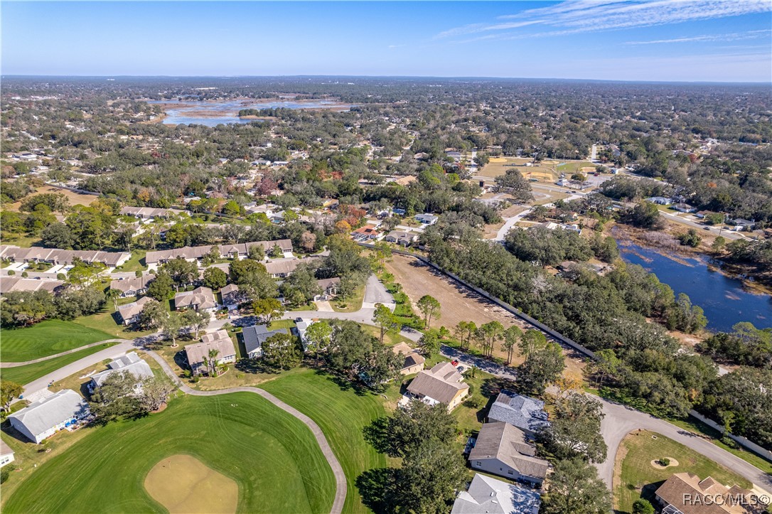 2217 Terrace View Lane, Spring Hill, Florida image 44