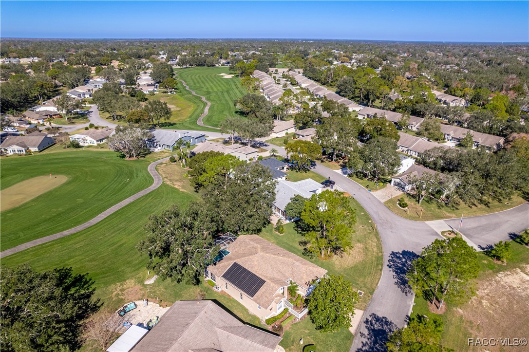 2217 Terrace View Lane, Spring Hill, Florida image 40