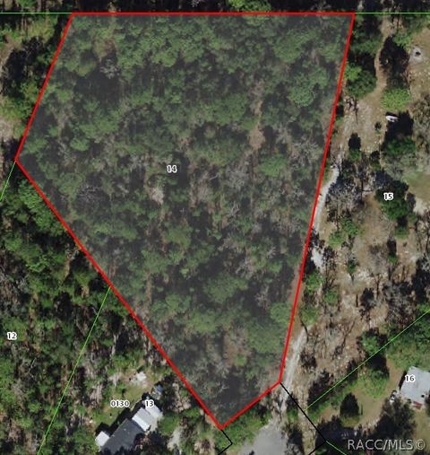 Vacant Land For Sale - 7305 W Vineyard Drive<br/> Homosassa, FL 34448