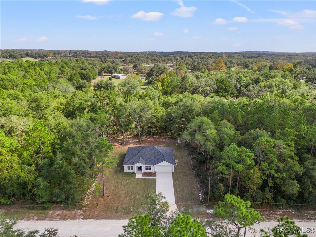 13366 Canada Goose Road, Weeki Wachee, Florida image 6