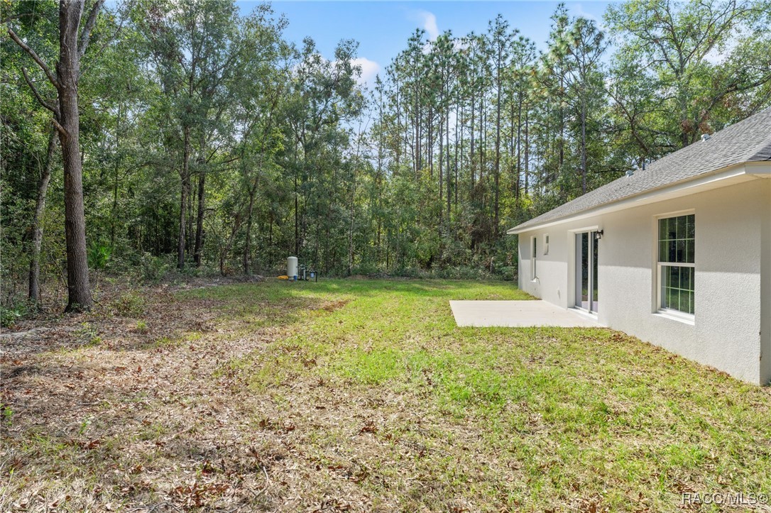 13366 Canada Goose Road, Weeki Wachee, Florida image 46