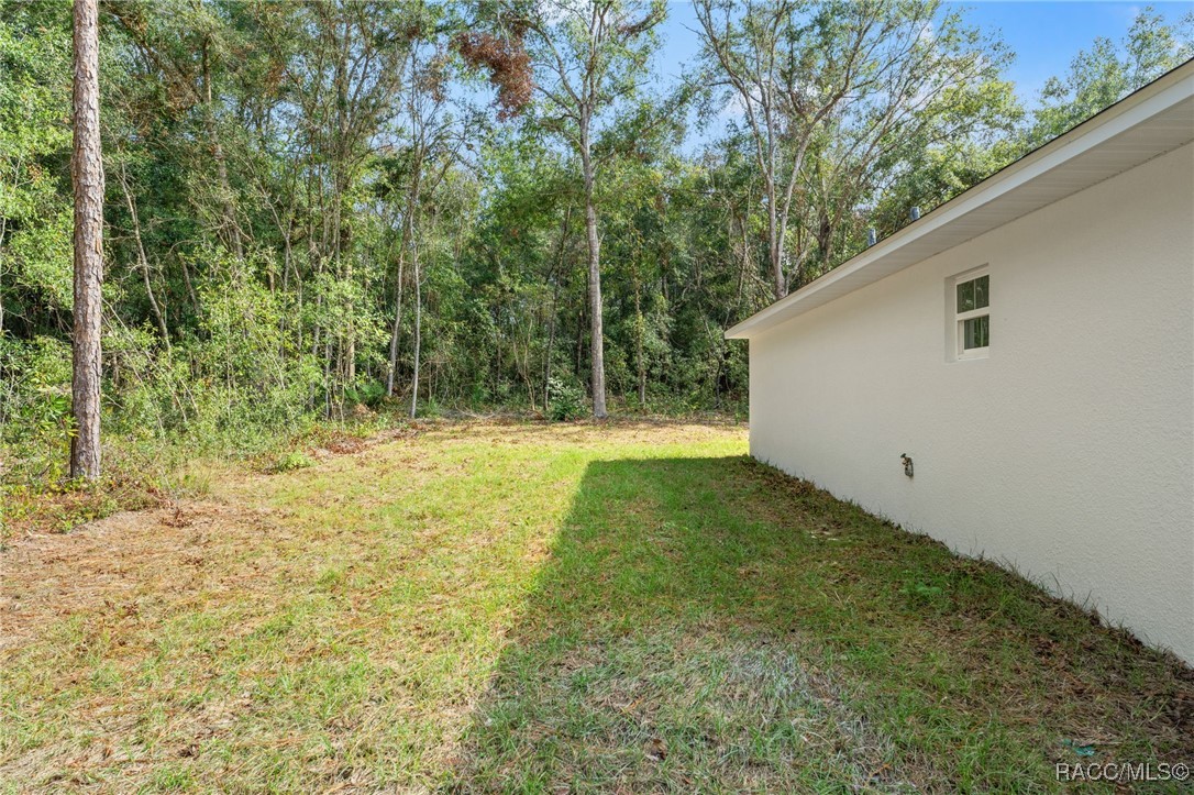 13366 Canada Goose Road, Weeki Wachee, Florida image 45