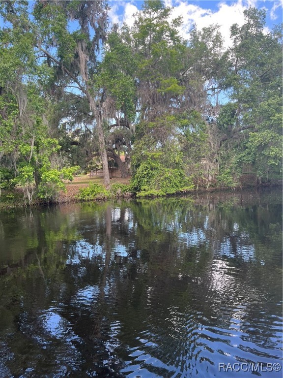3729 E Turquoise Drive, Hernando, Florida image 10