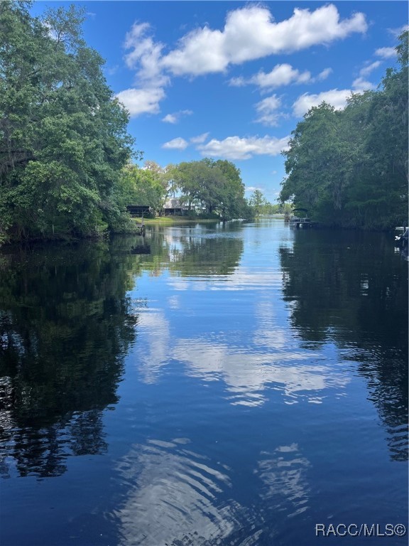 3729 E Turquoise Drive, Hernando, Florida image 9