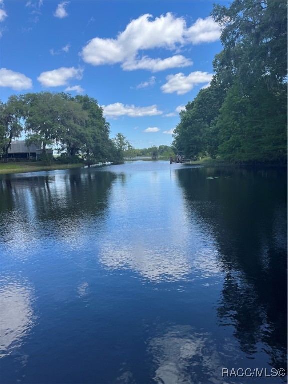 3729 E Turquoise Drive, Hernando, Florida image 3
