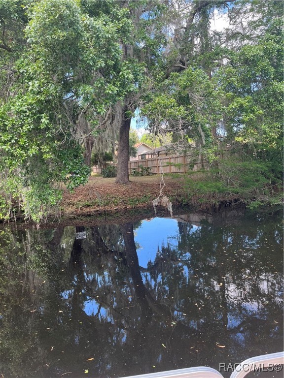 3729 E Turquoise Drive, Hernando, Florida image 15