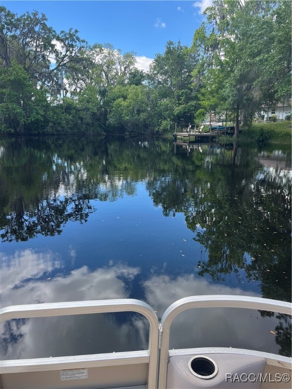 3729 E Turquoise Drive, Hernando, Florida image 14