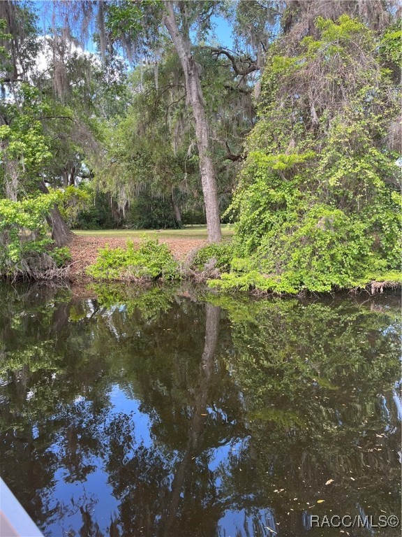 3729 E Turquoise Drive, Hernando, Florida image 12