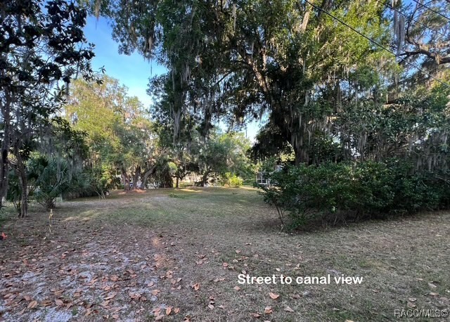 3729 E Turquoise Drive, Hernando, Florida image 10