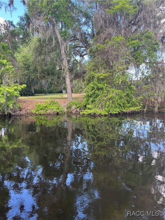 3729 E Turquoise Drive, Hernando, Florida image 6