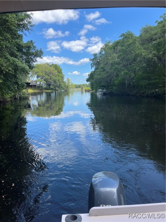 3729 E Turquoise Drive, Hernando, Florida image 11