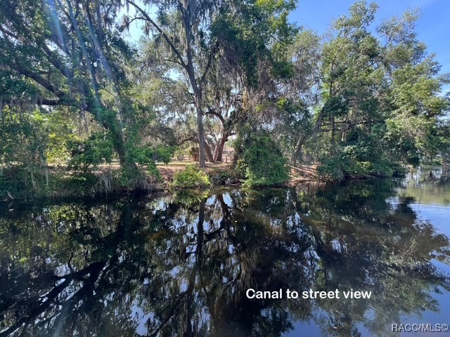3729 E Turquoise Drive, Hernando, Florida image 3