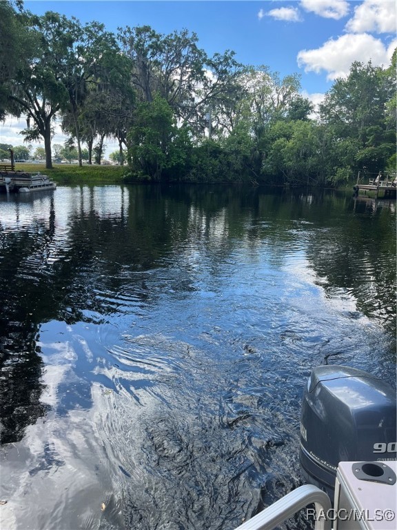 3729 E Turquoise Drive, Hernando, Florida image 4