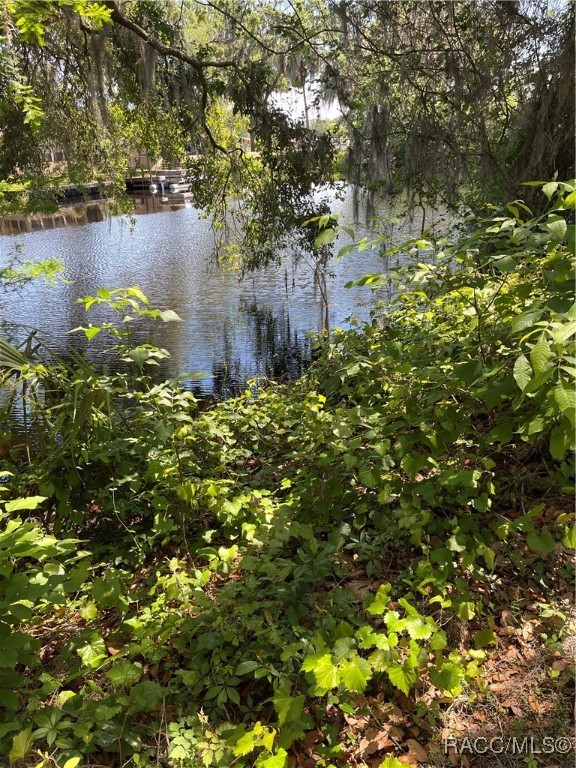 3729 E Turquoise Drive, Hernando, Florida image 2