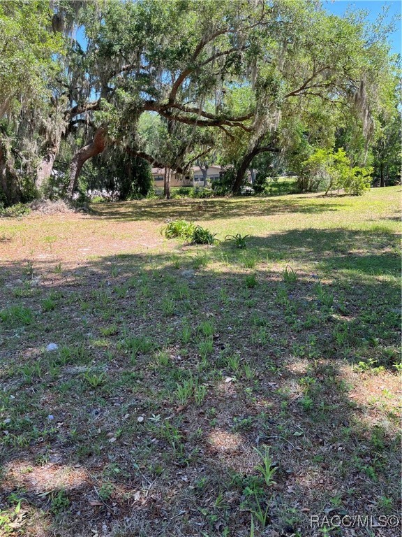 3729 E Turquoise Drive, Hernando, Florida image 1