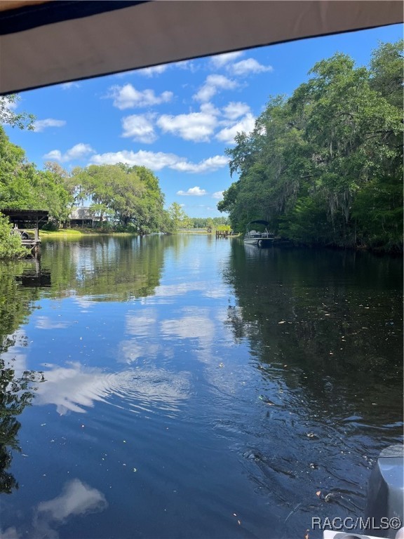 3729 E Turquoise Drive, Hernando, Florida image 13