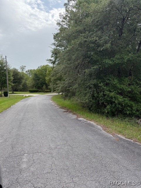 BLK 129 LOT 1 SW 66th Loop, Dunnellon, Florida image 4