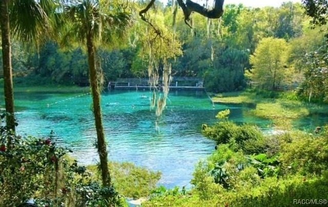 BLK 129 LOT 1 SW 66th Loop, Dunnellon, Florida image 12