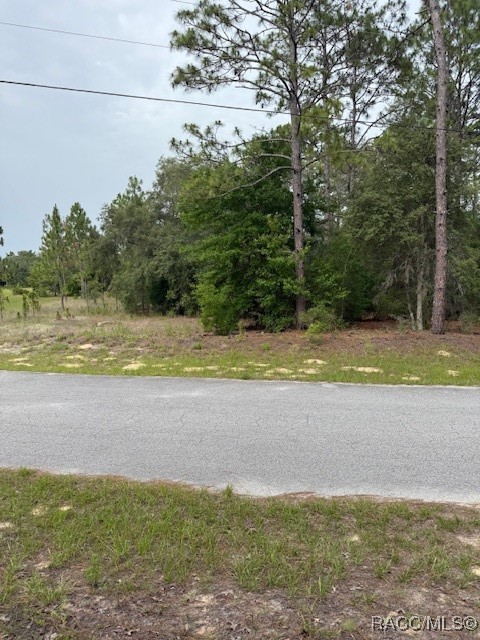 BLK 129 LOT 1 SW 66th Loop, Dunnellon, Florida image 7