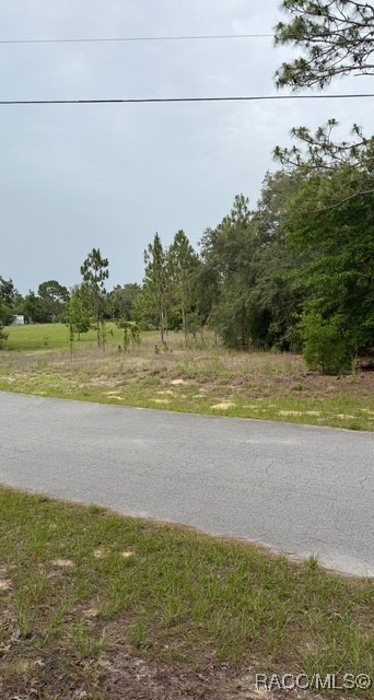 BLK 129 LOT 1 SW 66th Loop, Dunnellon, Florida image 5