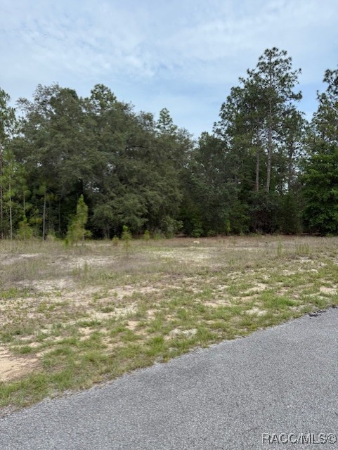 BLK 129 LOT 1 SW 66th Loop, Dunnellon, Florida image 3