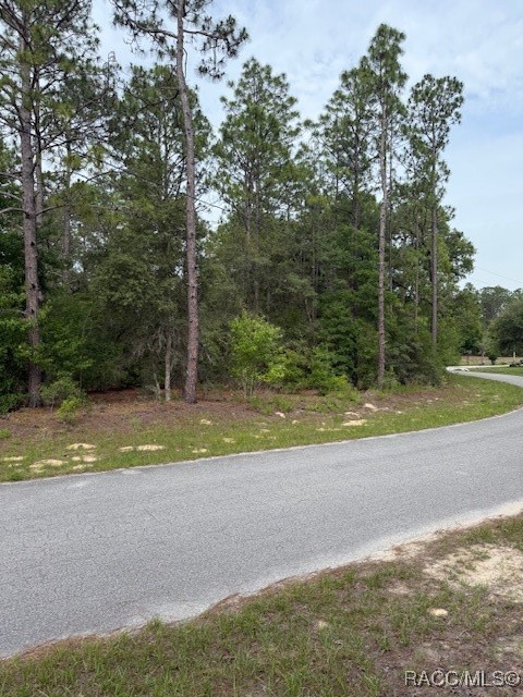 BLK 129 LOT 1 SW 66th Loop, Dunnellon, Florida image 1
