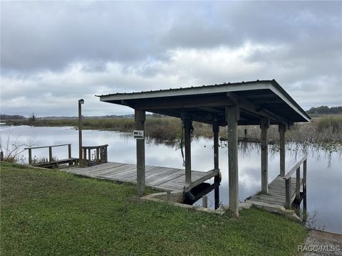 9335 E Beech Circle Inverness FL 34450