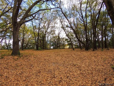 Vacant Land For Sale - 0000 Piney Ridge Boulevard<br/> Fruitland Park, FL 34731