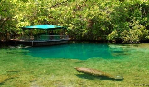 A home in Homosassa