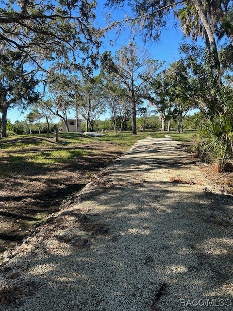 14536 W Trachel Court, Crystal River, Florida image 3