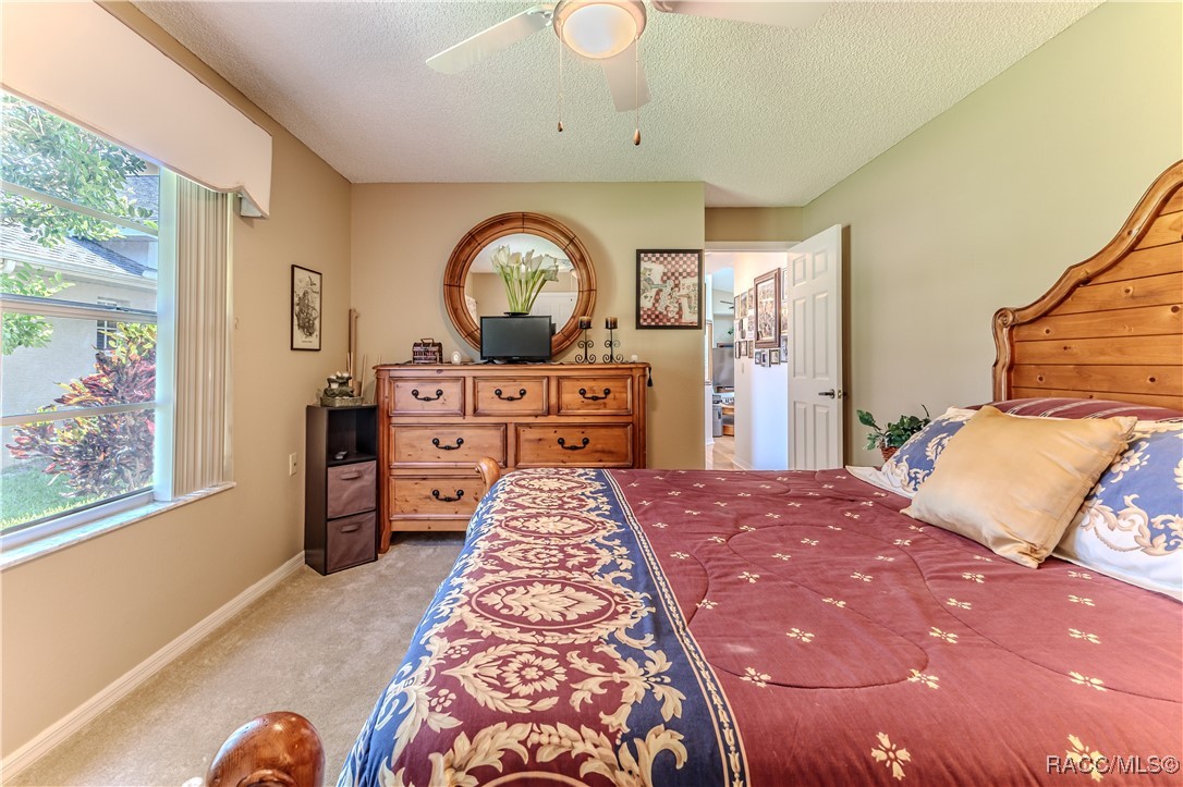 8132 Summersong Court, Spring Hill, Florida image 45