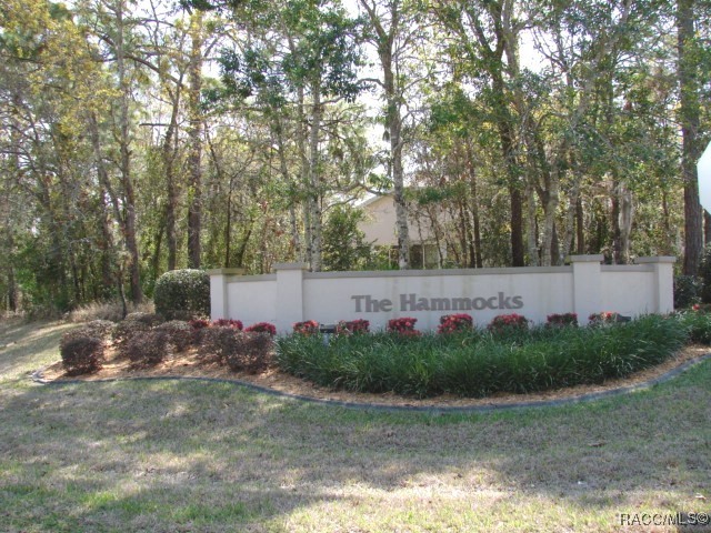 44 W Byrsonima Loop, Homosassa, New York image 37
