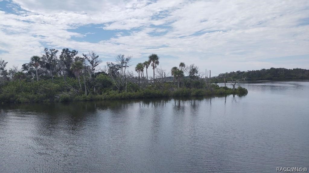 14187 Oyster Bayou Byu, Homosassa, Florida image 3