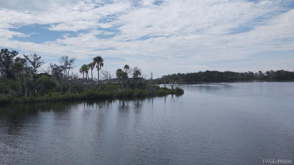 14187 Oyster Bayou Byu, Homosassa, Florida image 1