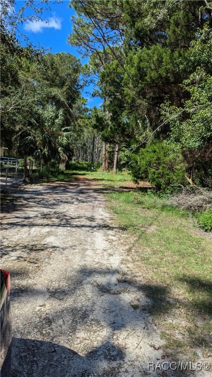 7970 W Delta Court, Crystal River, Florida image 6